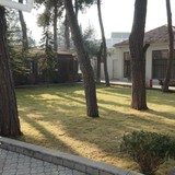 თამარიონი