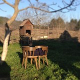 Захар Захарыч 2