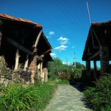 Twins Wine Cellar (Naparauli)