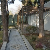 თამარიონი
