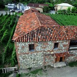 Twins Wine Cellar (Naparauli)