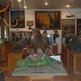 Музей геологии и палеонтологии