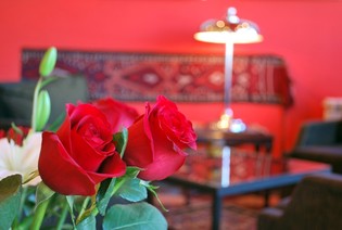 ლობის და ბარი - Betsy's Hotel
