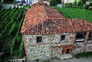 Twins Wine Cellar (Naparauli)