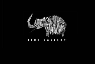  Didi Gallery